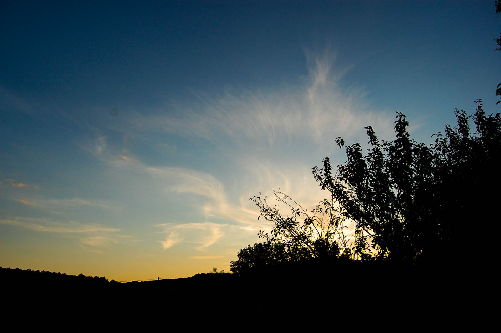 Nikon D40 sample photo. Cloud, sunset, trees, wallpaper photography