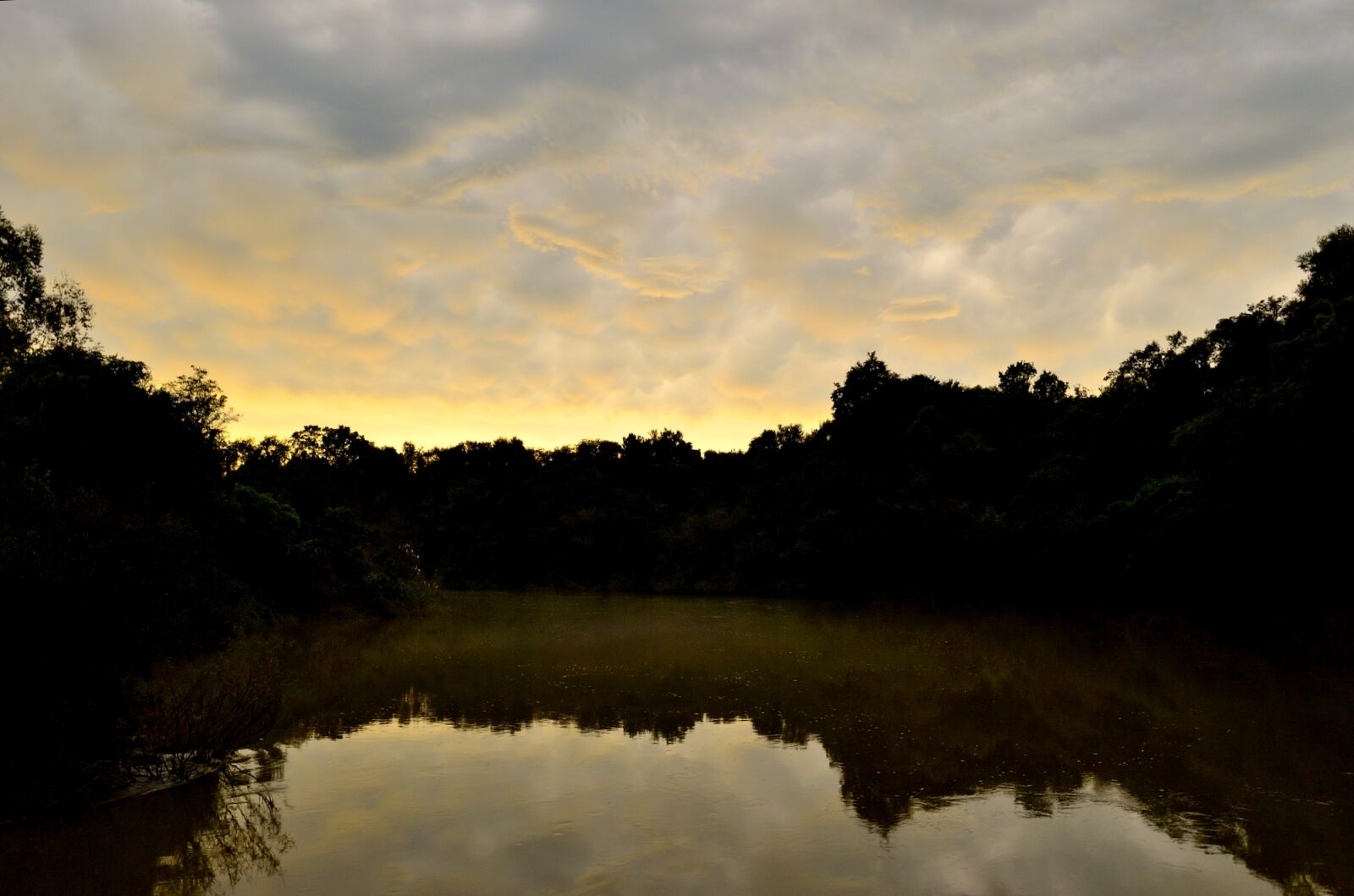 Nikon D5100 sample photo