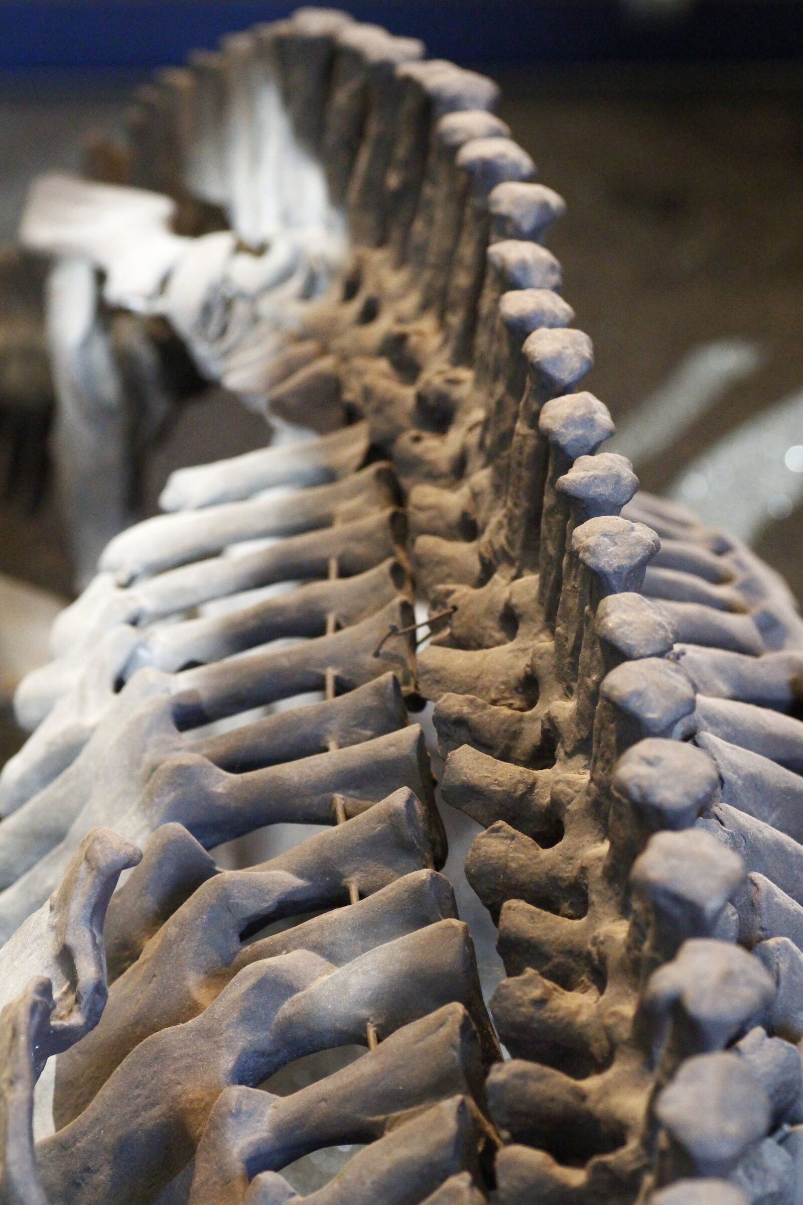 Canon EOS 650D (EOS Rebel T4i / EOS Kiss X6i) sample photo. Giant skull roof lurch photography