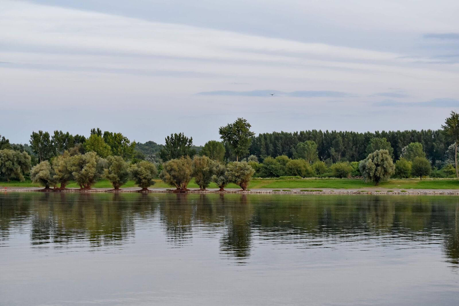 Nikon D5500 sample photo. River, riverbank, landscape, forest photography