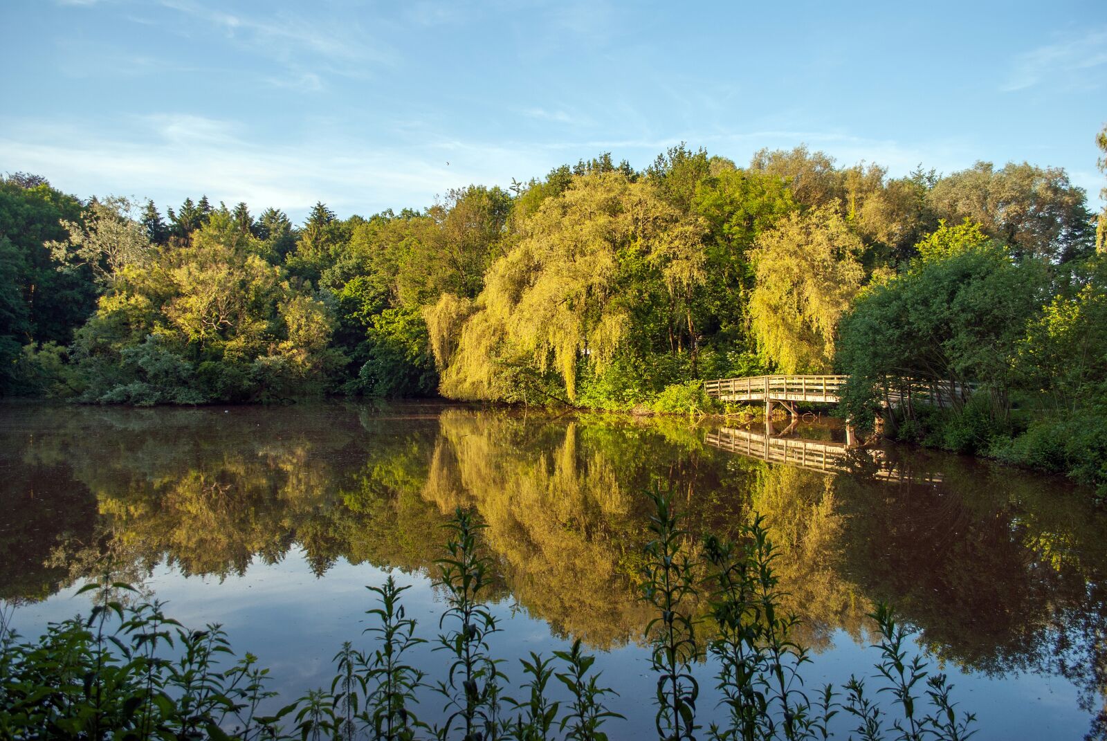 Nikon D3000 sample photo. Nature, enschede the netherlands photography
