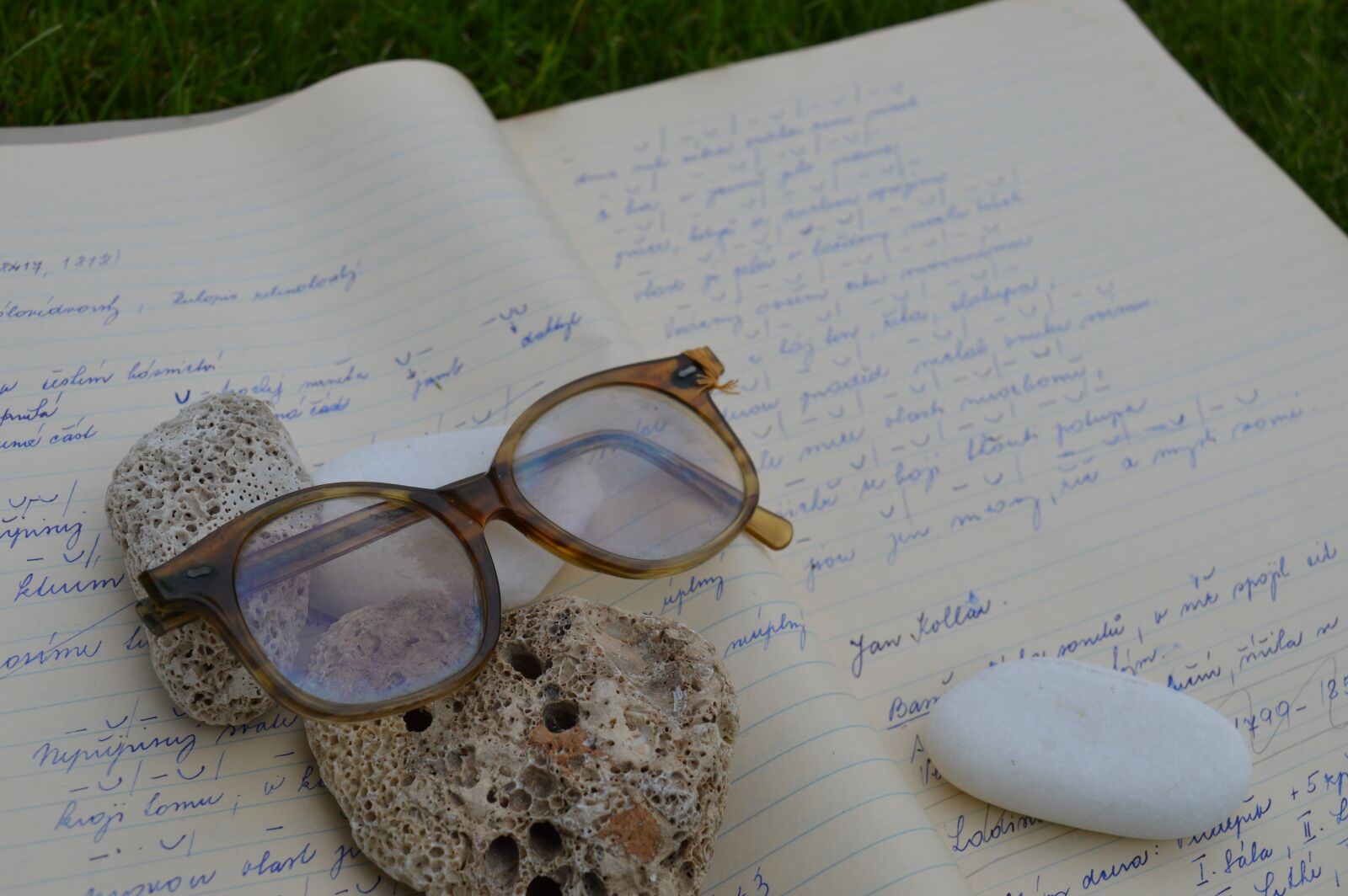 Nikon D3200 sample photo. Read, old, glasses photography