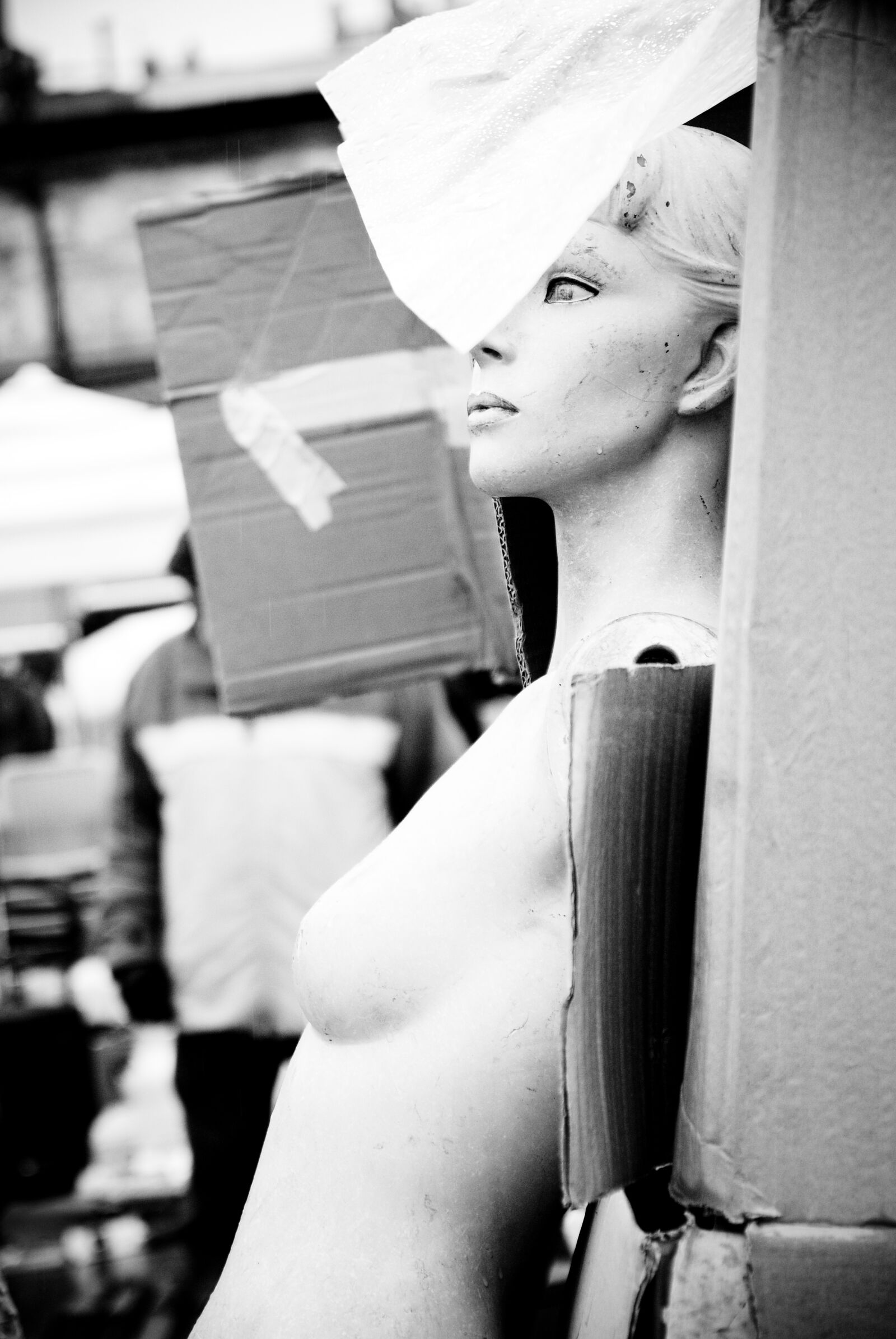 Nikon D80 sample photo. Dummy, market, boxes photography