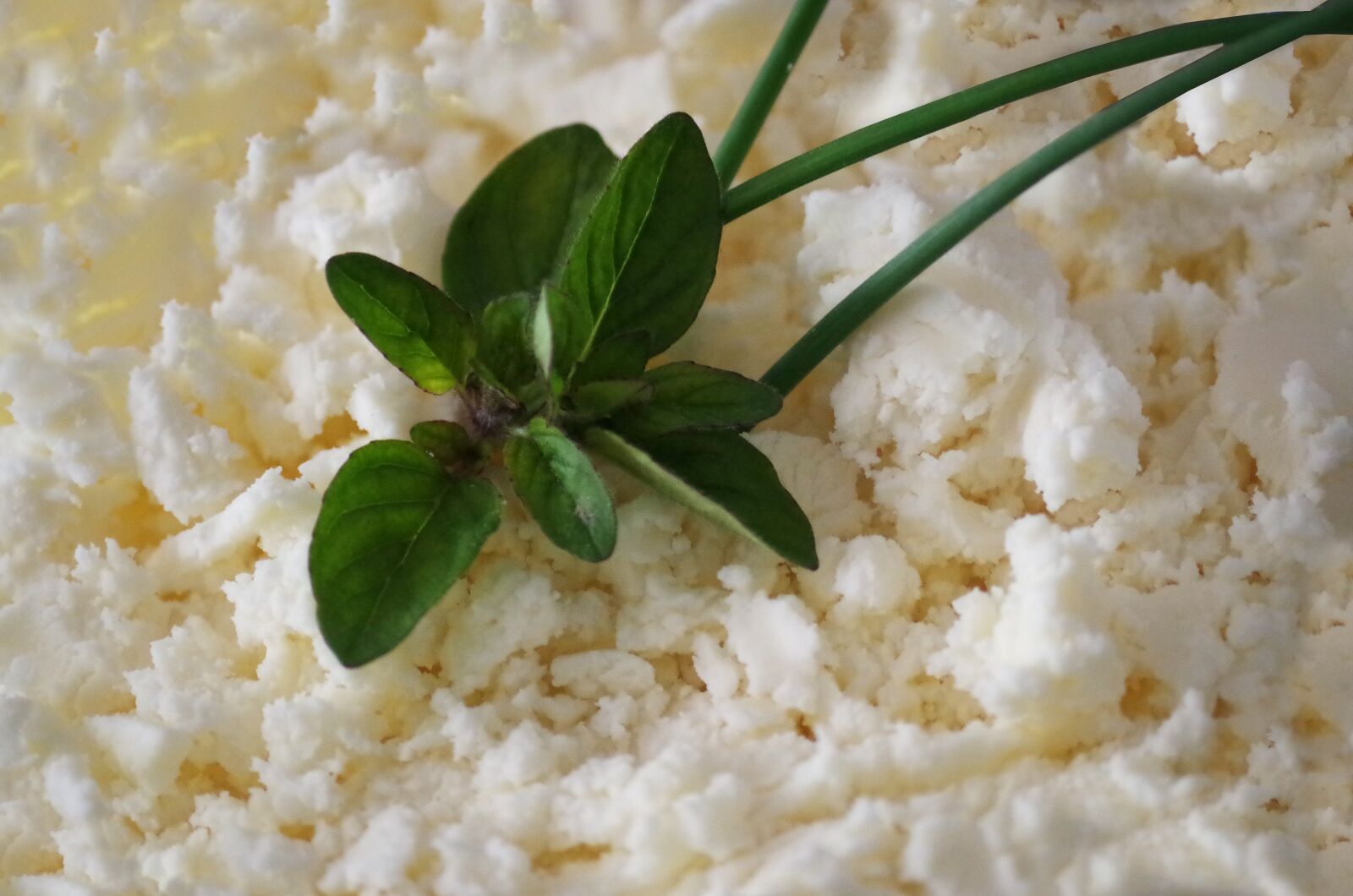 Pentax K-500 sample photo. Bryndza, cheese, slovak photography