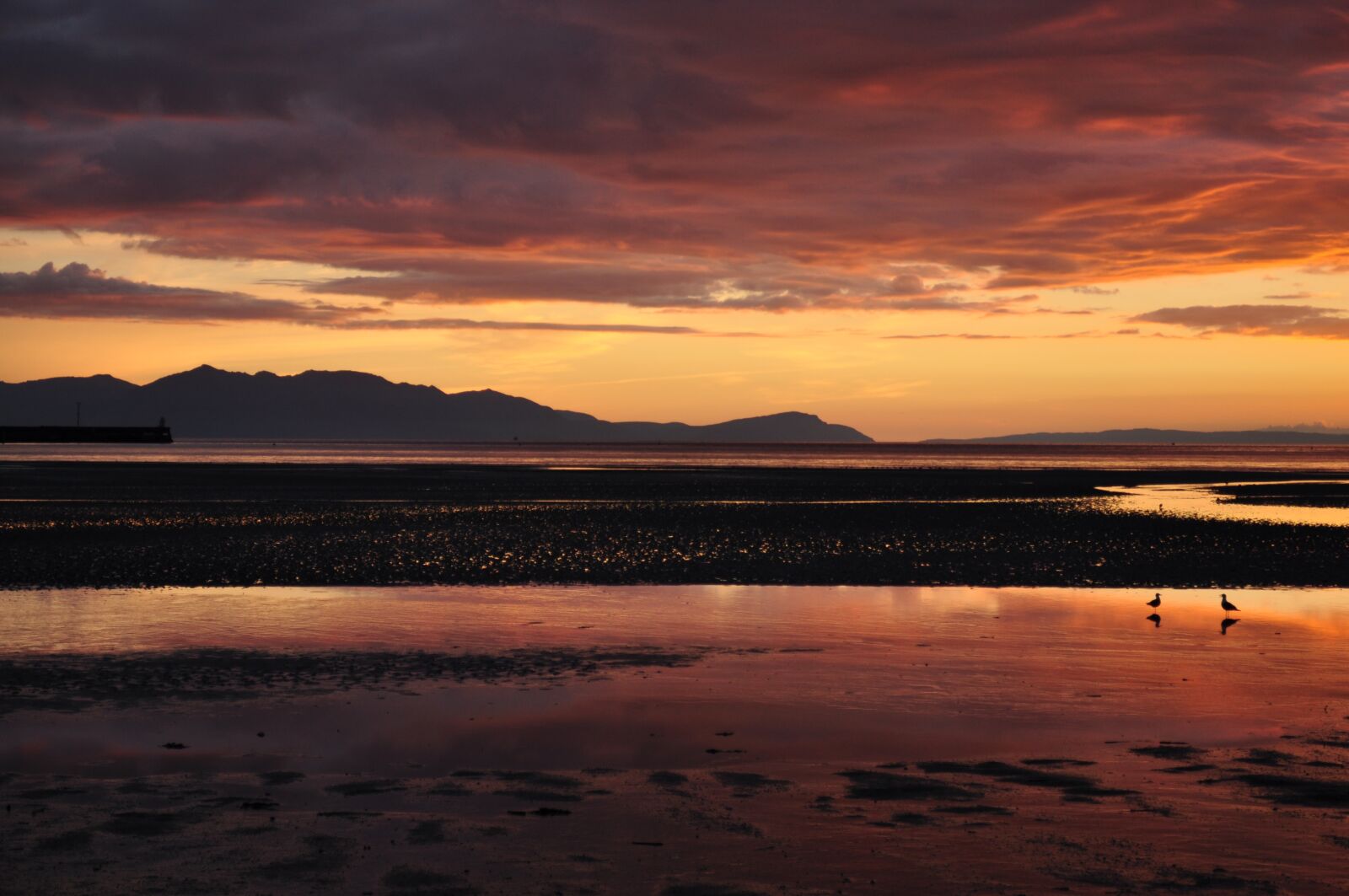 Nikon D5000 sample photo. Reflection, beach, island photography
