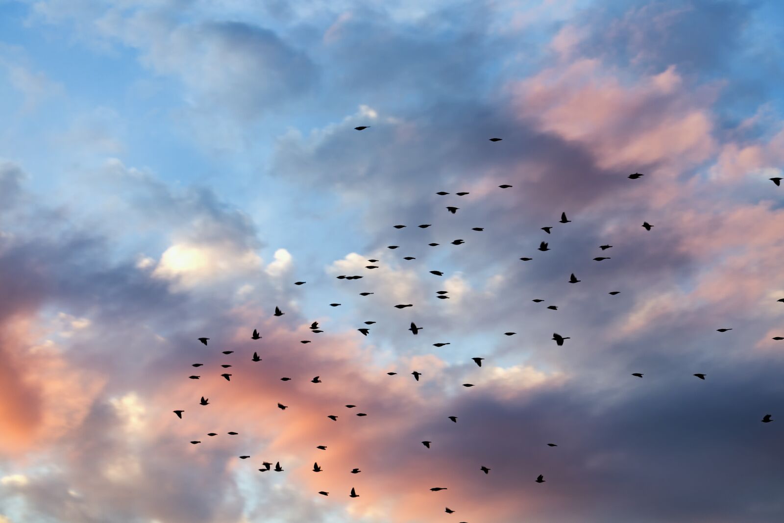 Canon EF 100mm F2.8L Macro IS USM sample photo. Sunset, clouds, cloudscape photography
