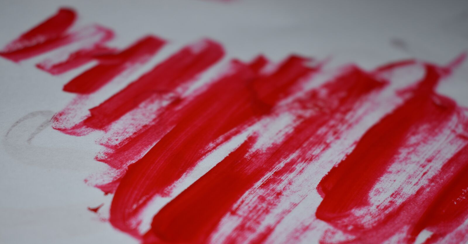 Nikon D3500 sample photo. Color, bright, red photography