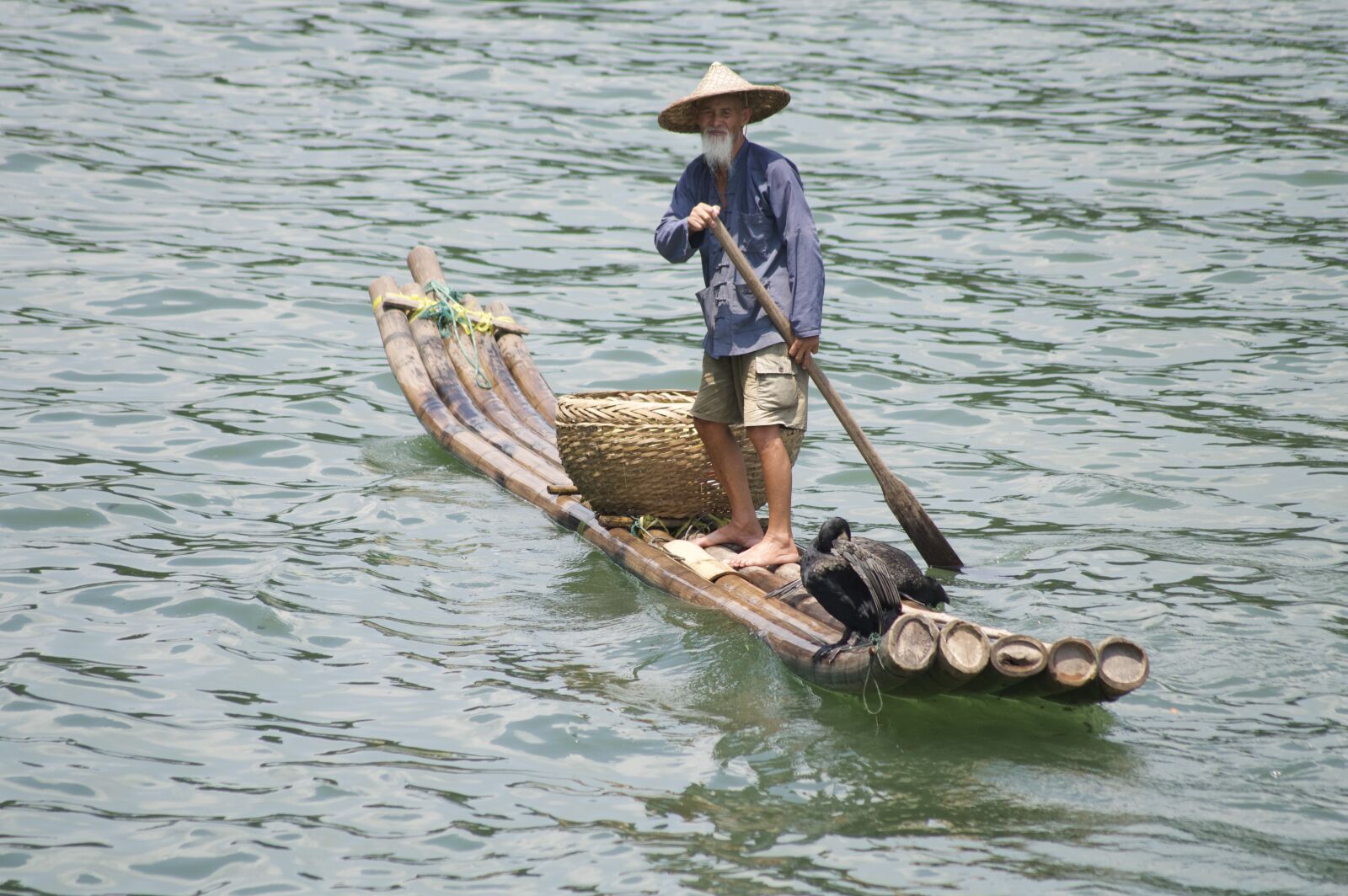 Nikon D3200 sample photo. China, cormorant, lijiang river photography