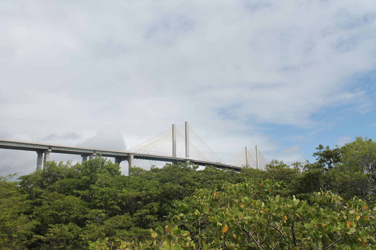 Canon EOS 1100D (EOS Rebel T3 / EOS Kiss X50) sample photo. Nature, christmas, bridge photography