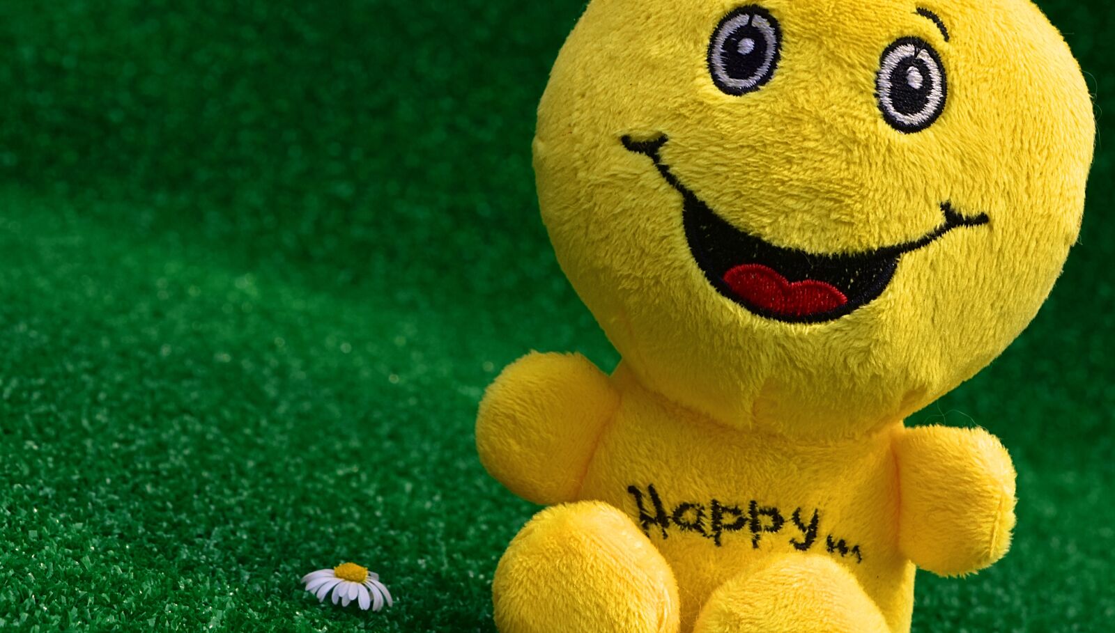 Nikon D7200 sample photo. Smiley, happy, funny photography