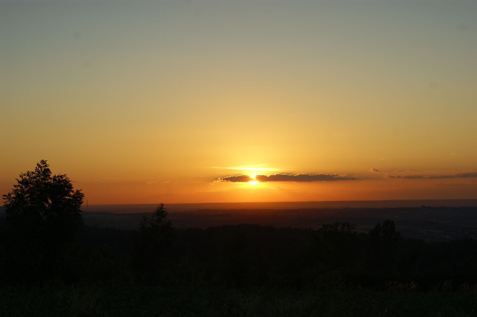 Sony Alpha DSLR-A290 sample photo. Sunset, orange, sky photography