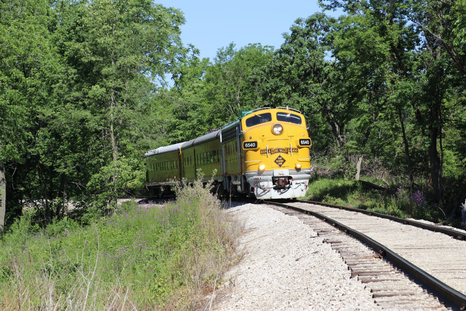Canon EOS 80D sample photo. Train, diesel locomotive, locomotive photography