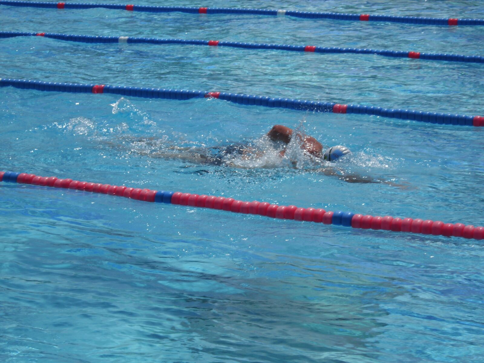 Benq DC E103X series sample photo. Water, pool, swimming photography