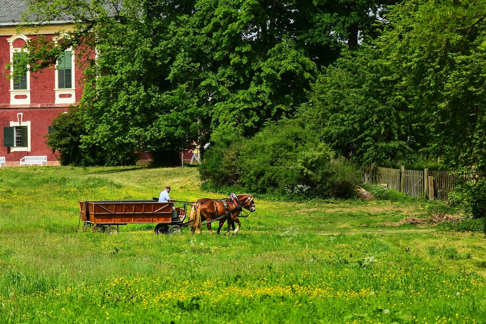 Nikon D5500 sample photo. Castle, horses, cart photography