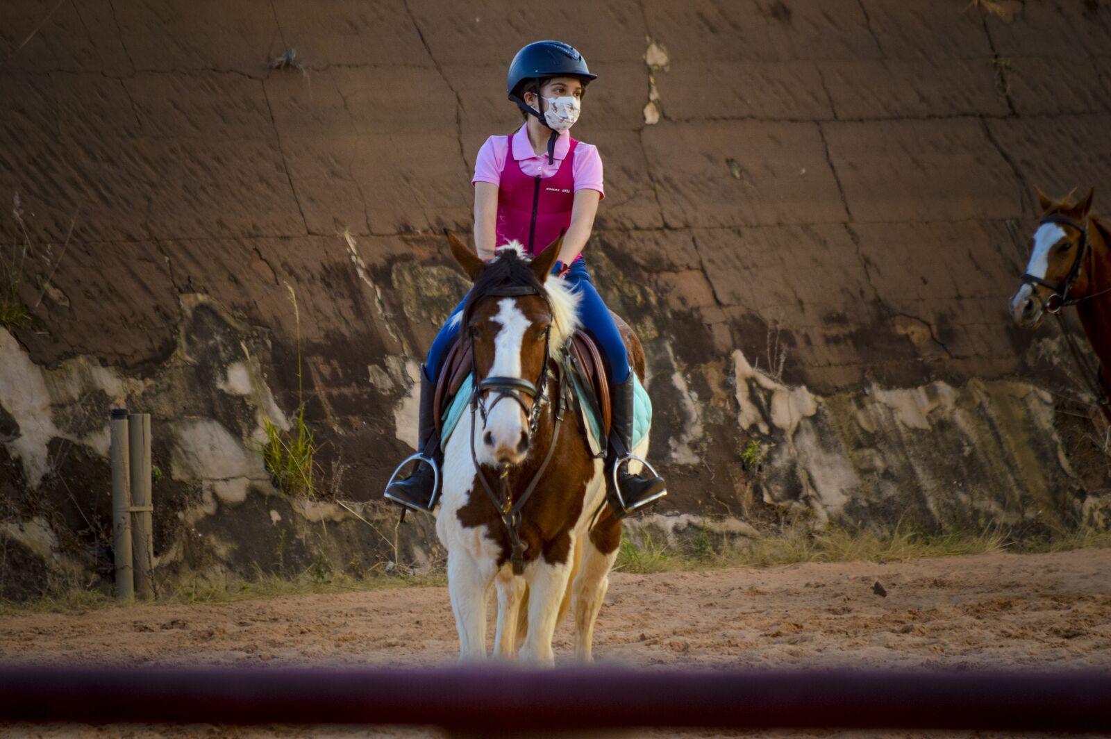 Nikon D3200 sample photo. Equestrianism, the pandemic, horse photography
