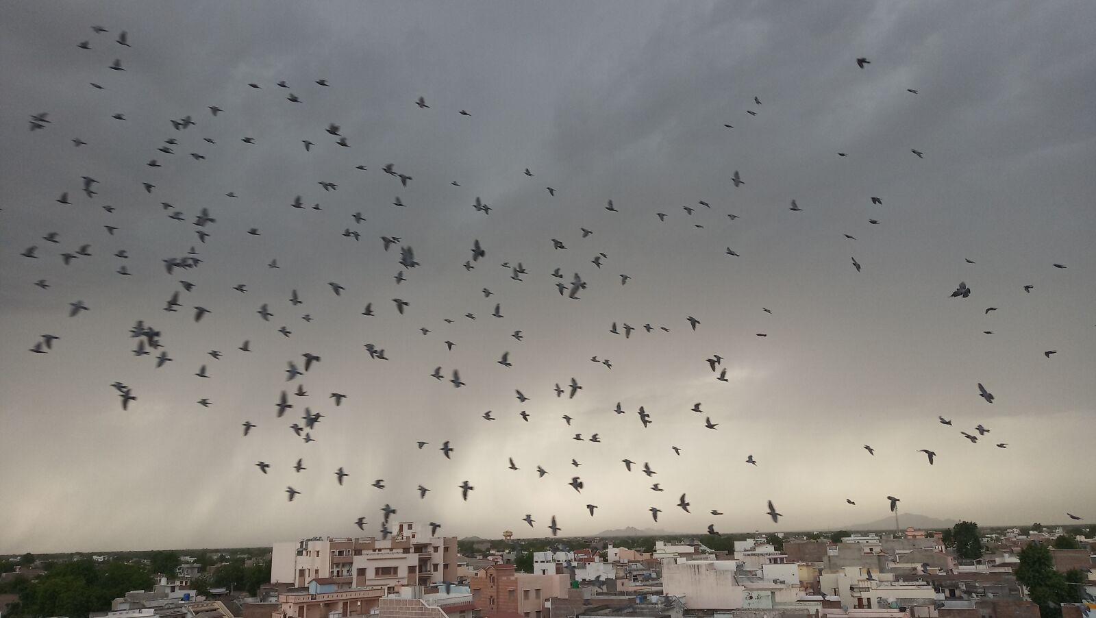 Xiaomi Redmi 6 sample photo. Clouds, bird, fly photography