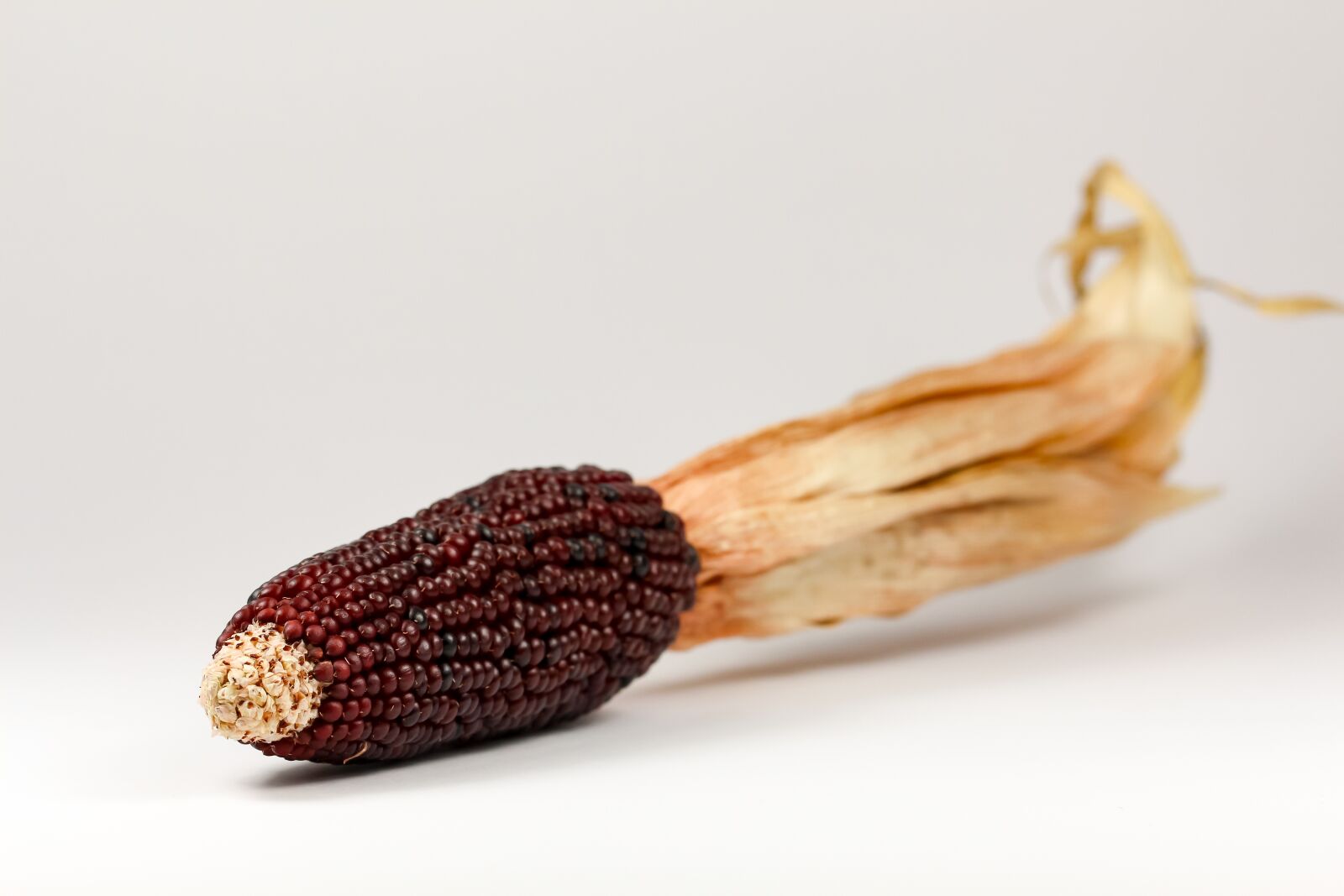 Canon EOS 700D (EOS Rebel T5i / EOS Kiss X7i) sample photo. Corn, ornamental corn, cereals photography