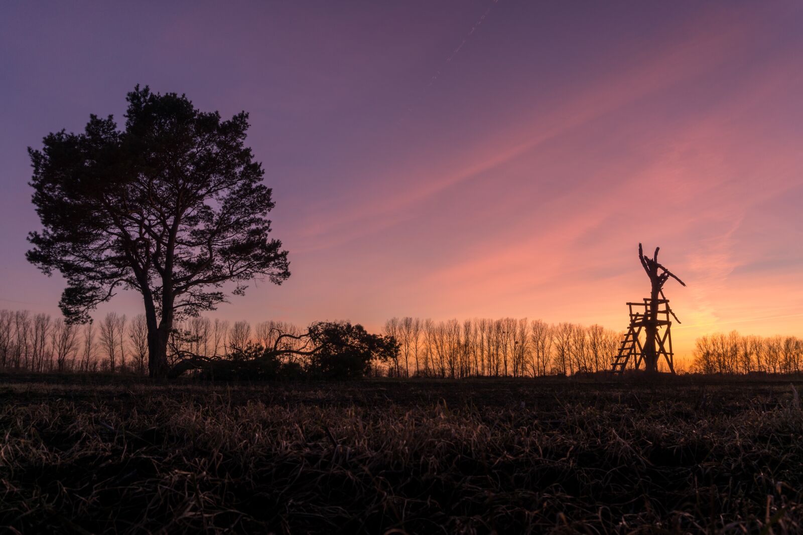Sony a6000 sample photo. Sunset, backlighting, dusk photography