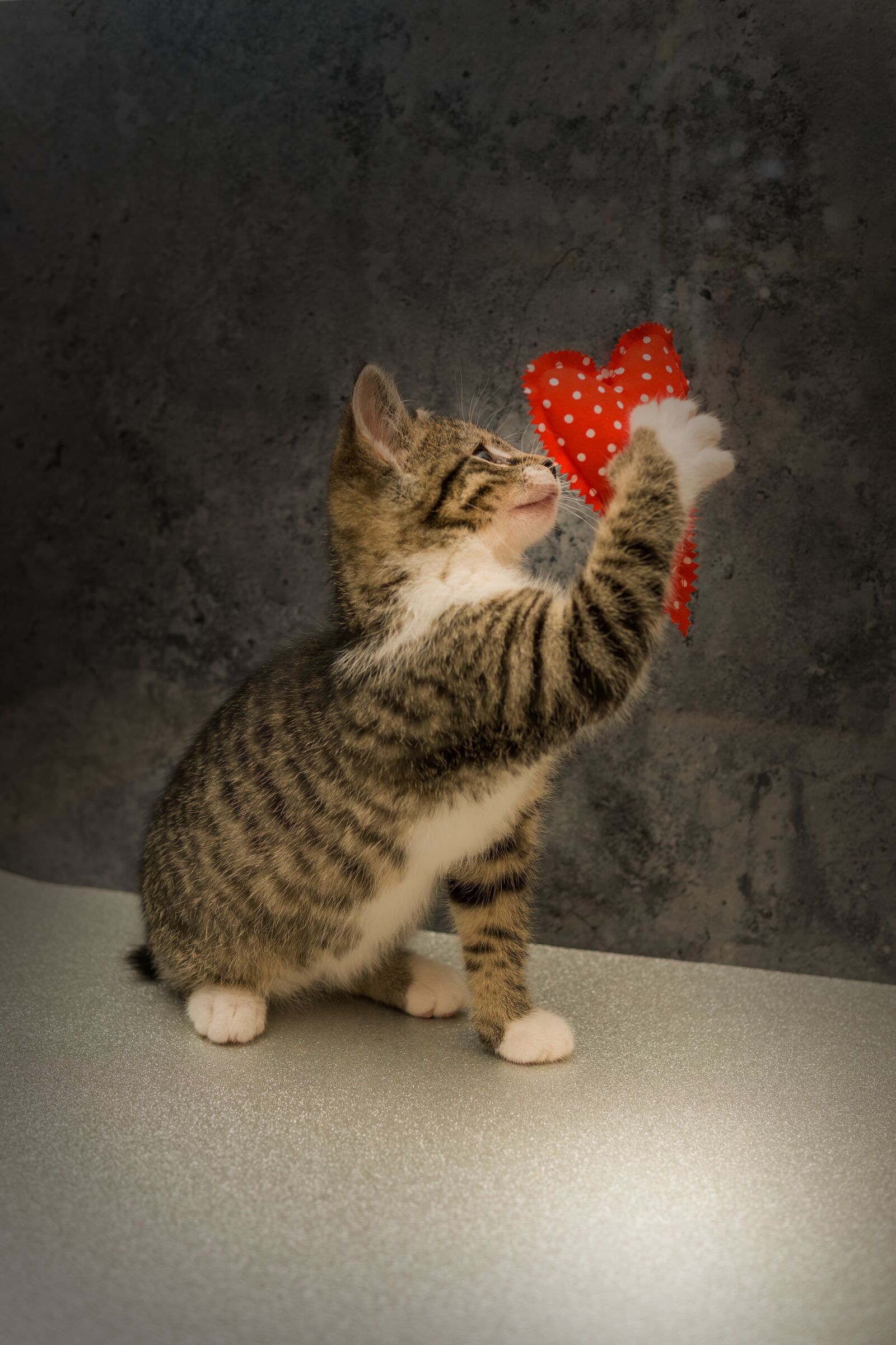30mm F1.4 DC DN | Contemporary 016 sample photo. Heart, valentine, love photography