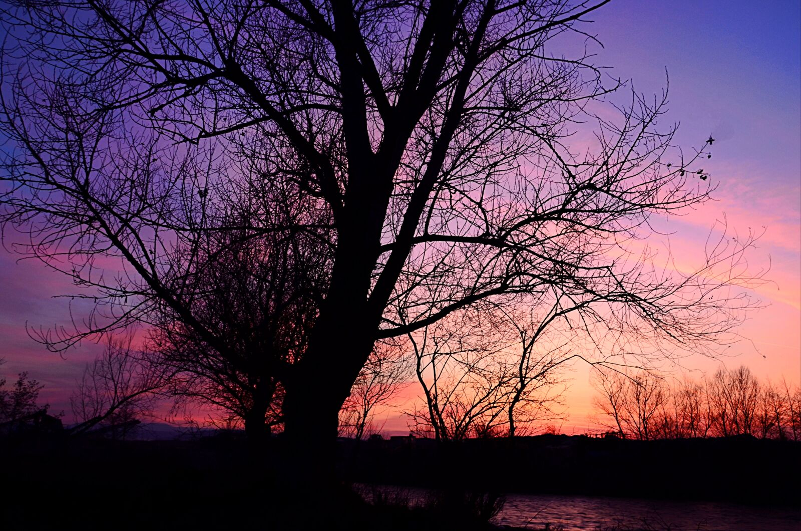 Nikon D5100 sample photo. Tree, sunset, colors photography