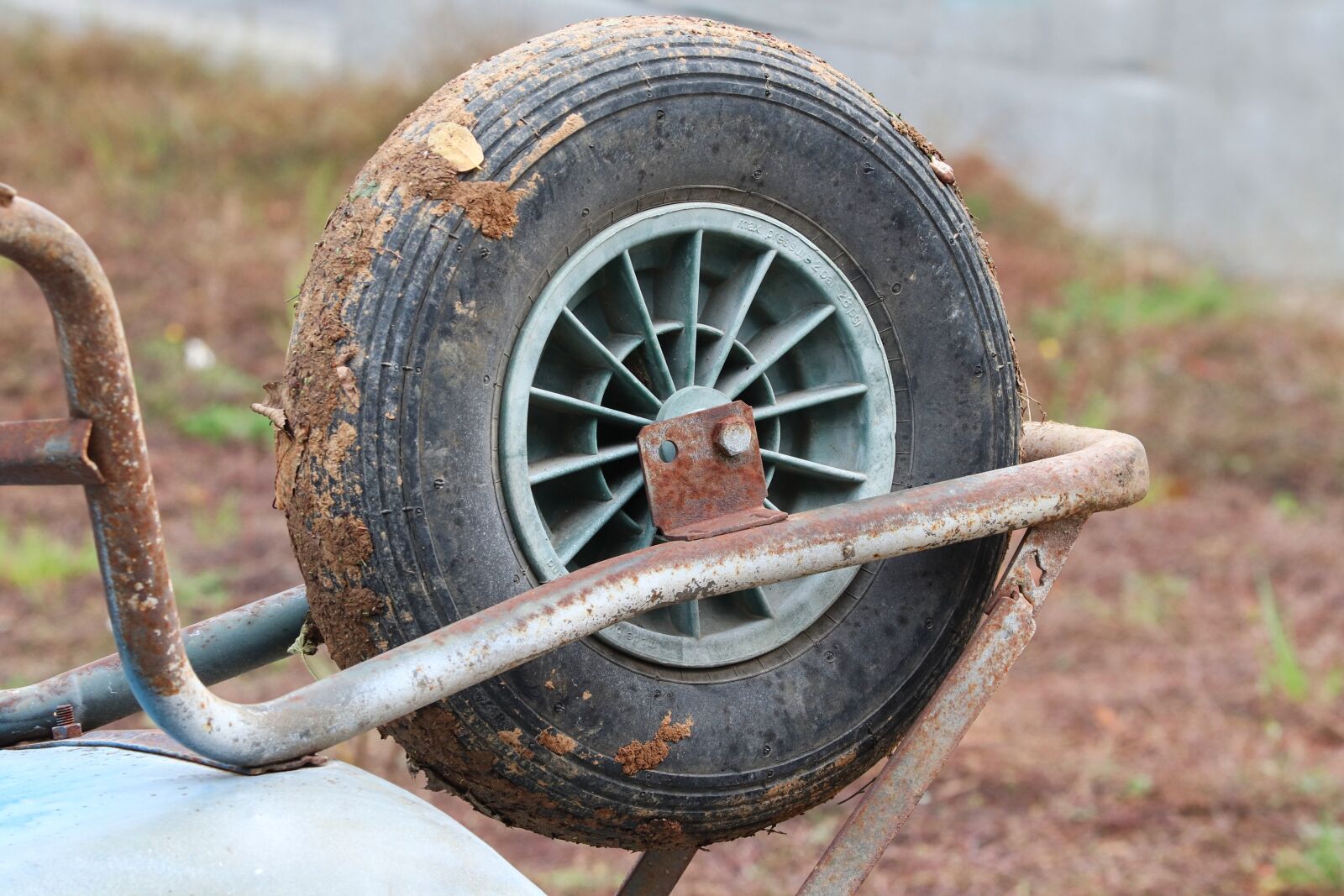 Canon EOS 200D (EOS Rebel SL2 / EOS Kiss X9) sample photo. Wheel, mature, rubber photography