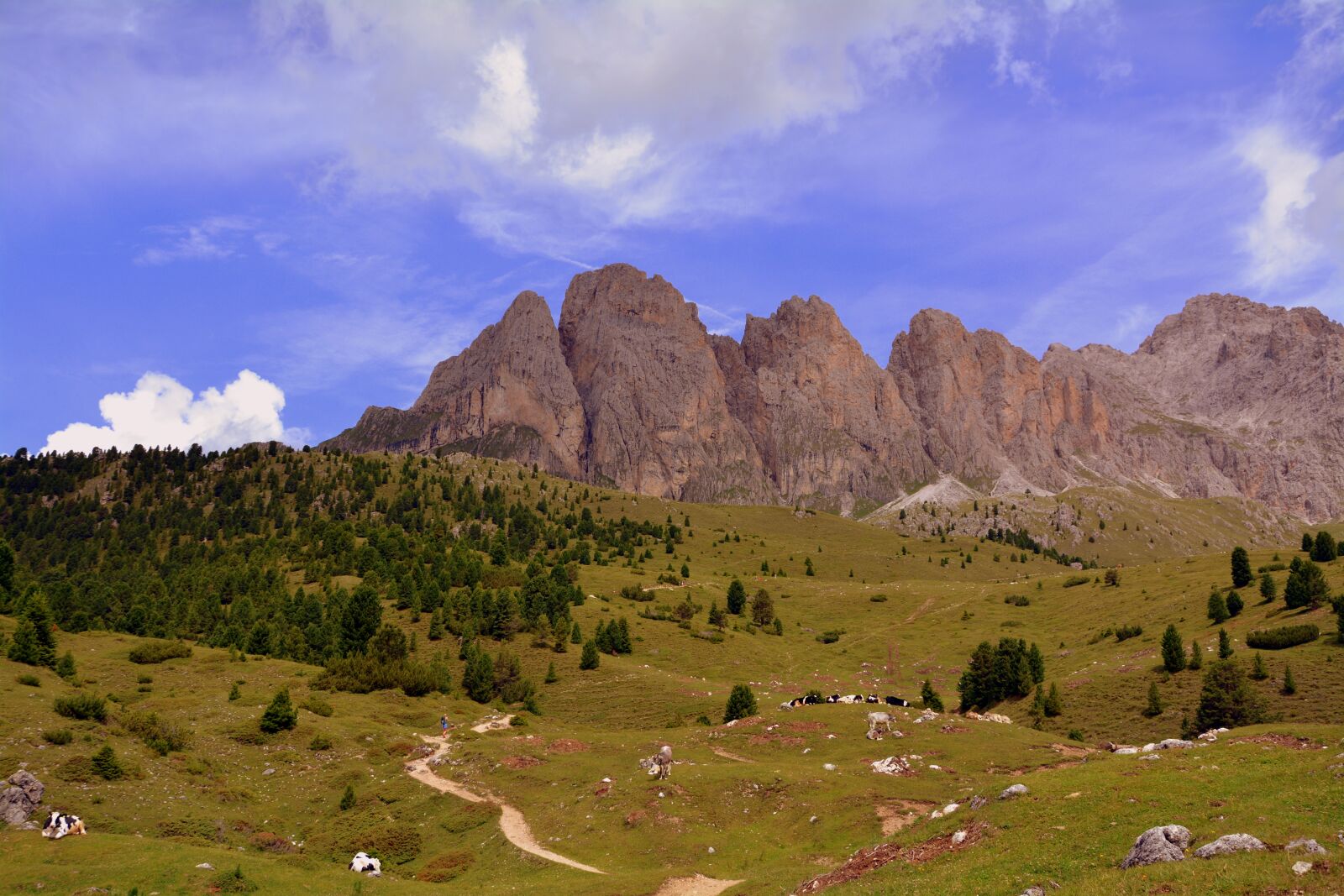 Nikon D7100 sample photo. Dolomites, mountain, prato photography