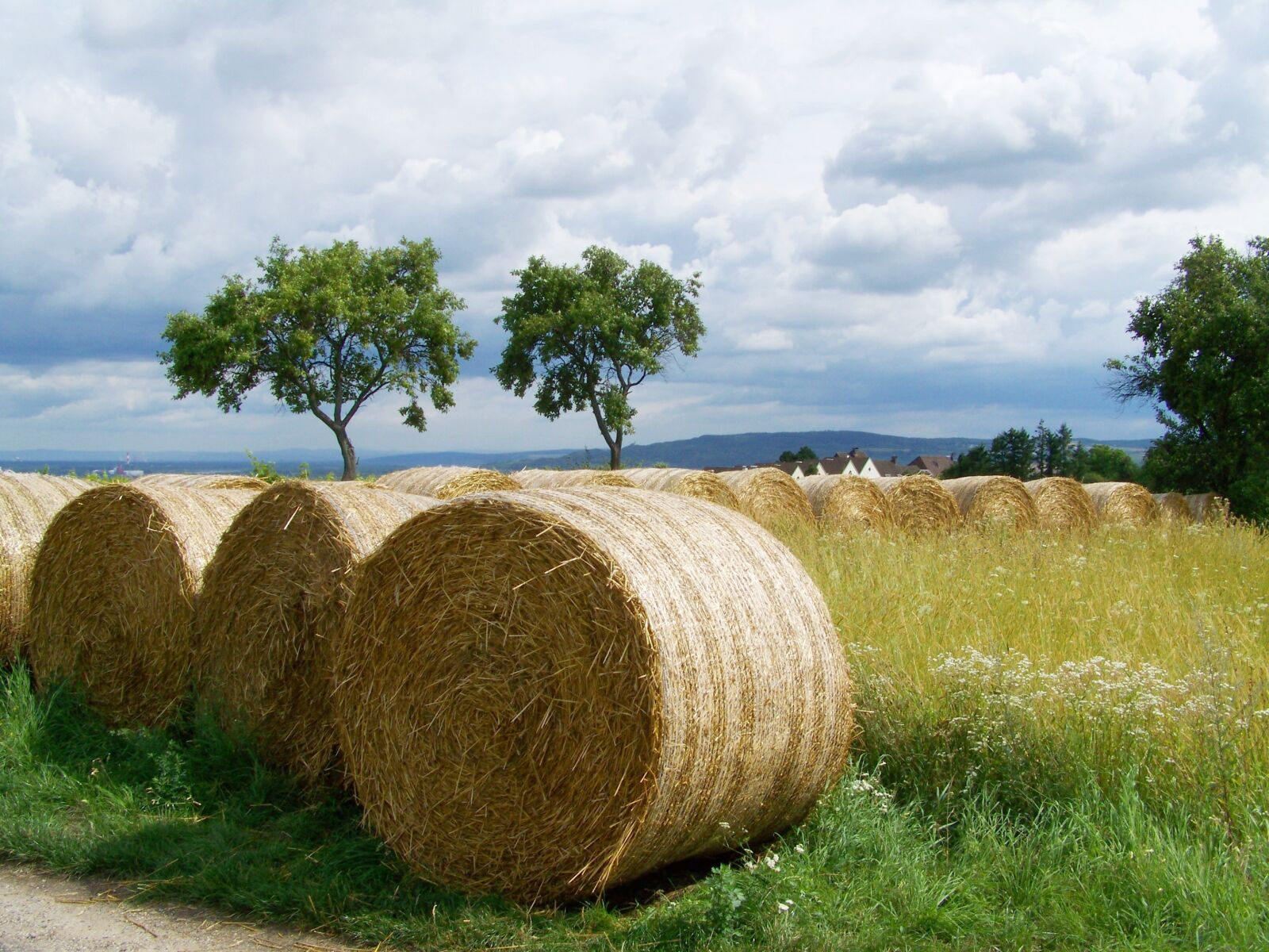 Kodak EASYSHARE ZD710 ZOOM DIGITAL CAMERA sample photo. Straw bales, potential gabonasz photography