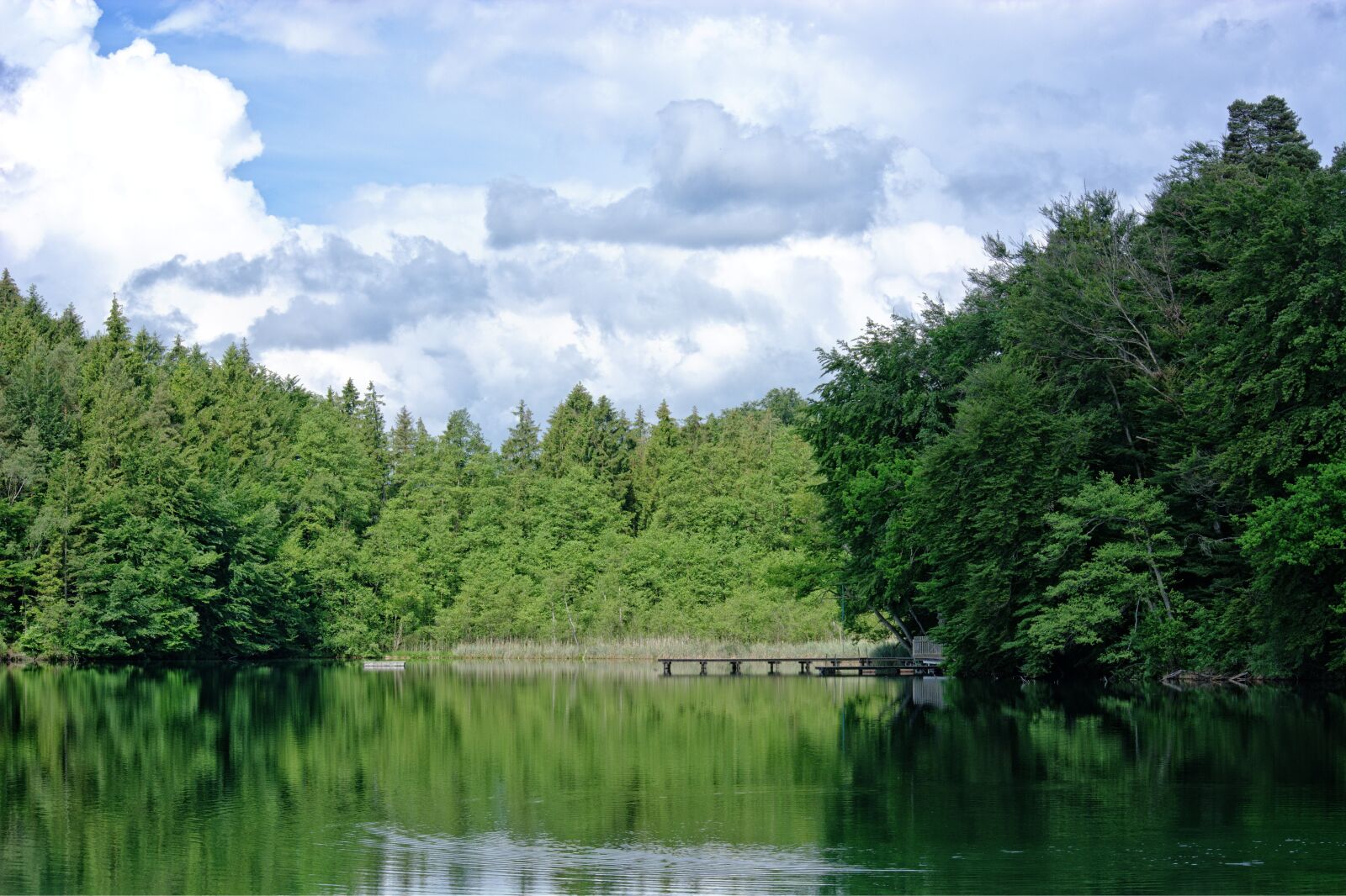 55.0-200.0mm f/4.0-f/5.6 sample photo. Lake, forest, trees photography