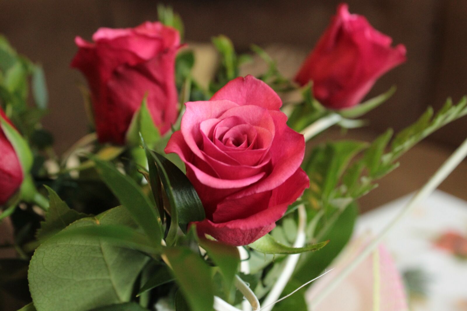 Canon EOS 600D (Rebel EOS T3i / EOS Kiss X5) sample photo. Roses, flower, flowers photography