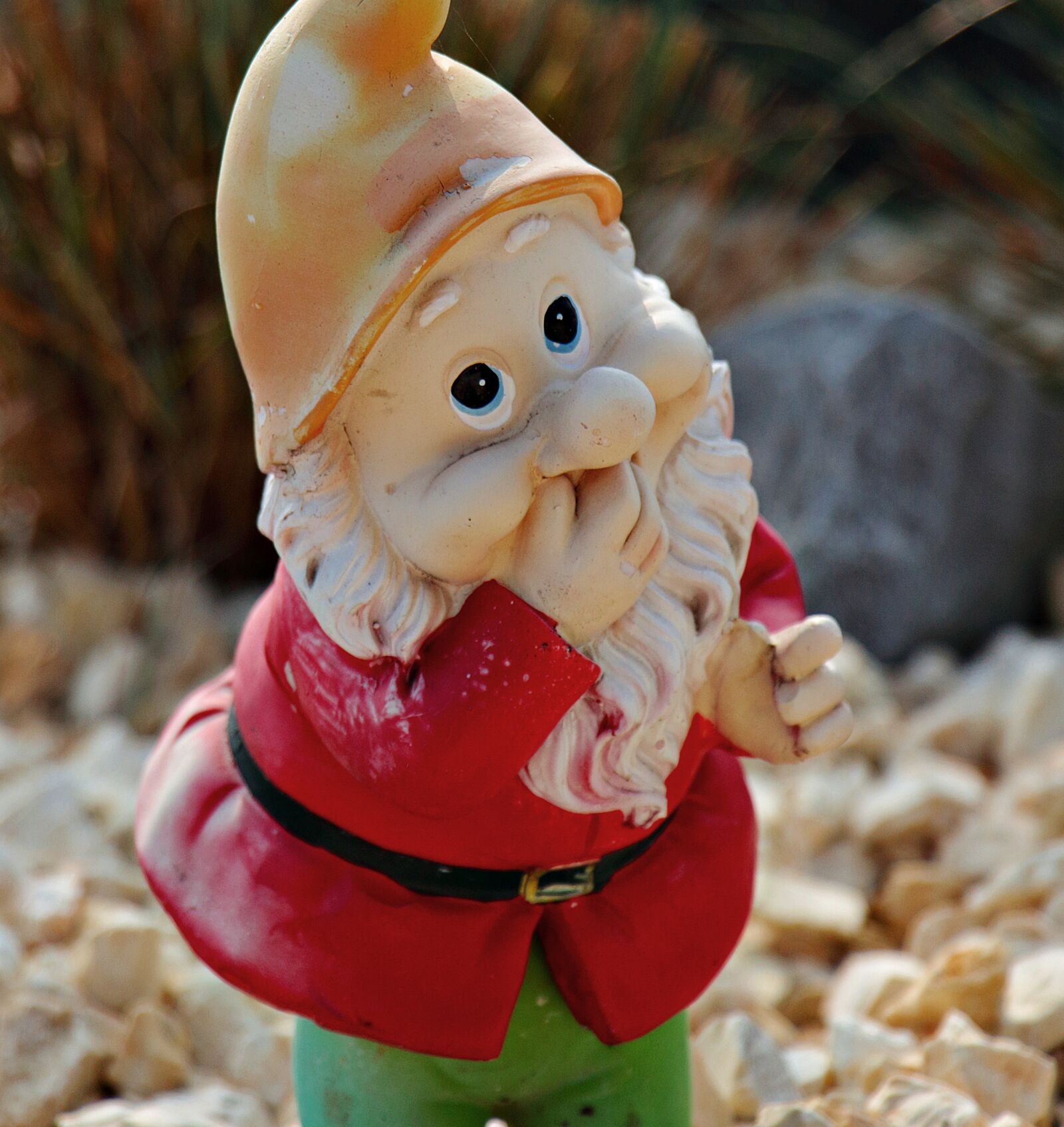 Canon EOS 100D (EOS Rebel SL1 / EOS Kiss X7) sample photo. Garden gnome, dwarf, decoration photography