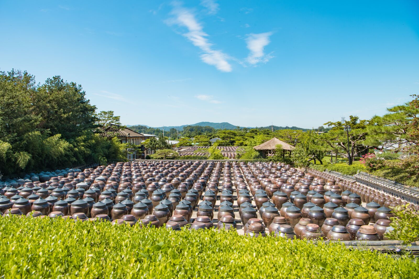 Nikon D810 sample photo. Republic of korea, chapter photography