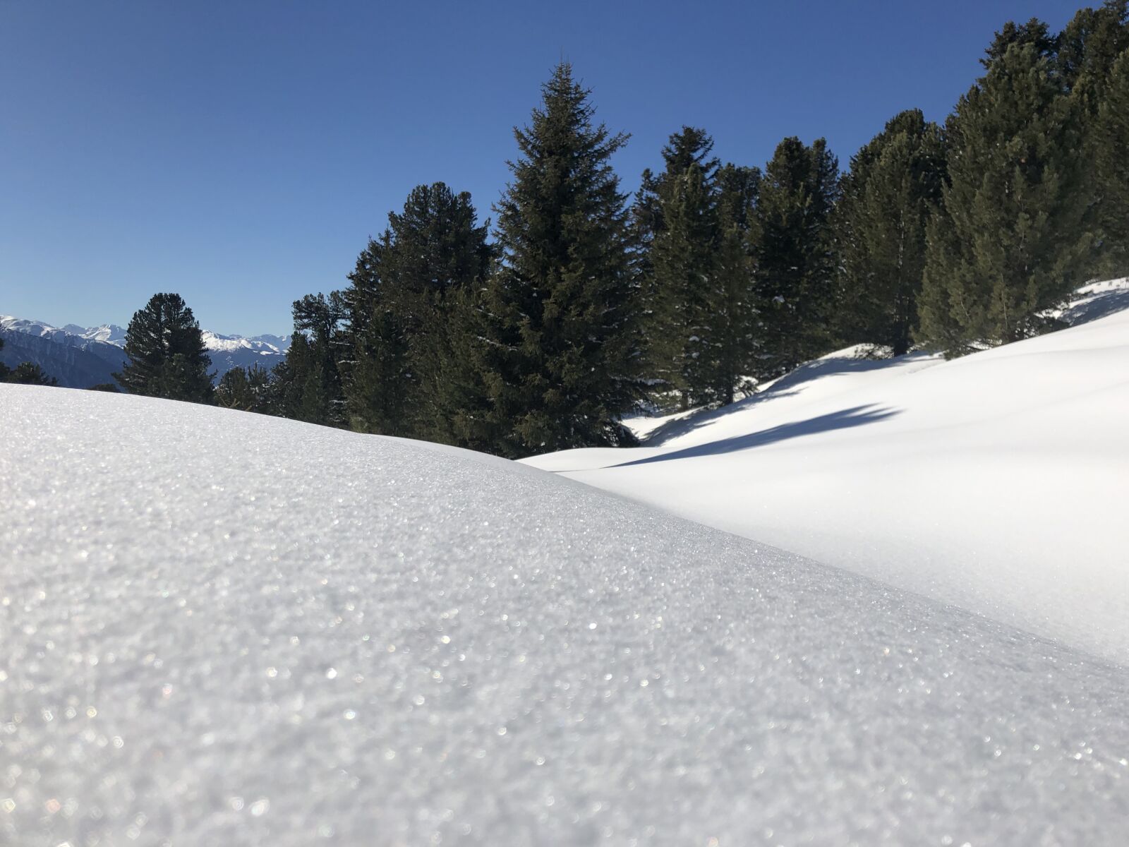 iPhone X back dual camera 4mm f/1.8 sample photo. Snow, landscape, trees photography