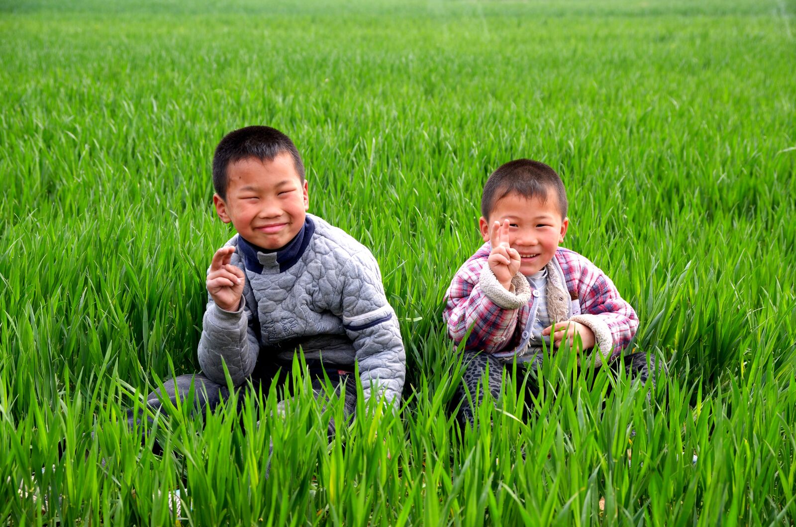 Nikon D7000 sample photo. Portrait, child, in wheat photography