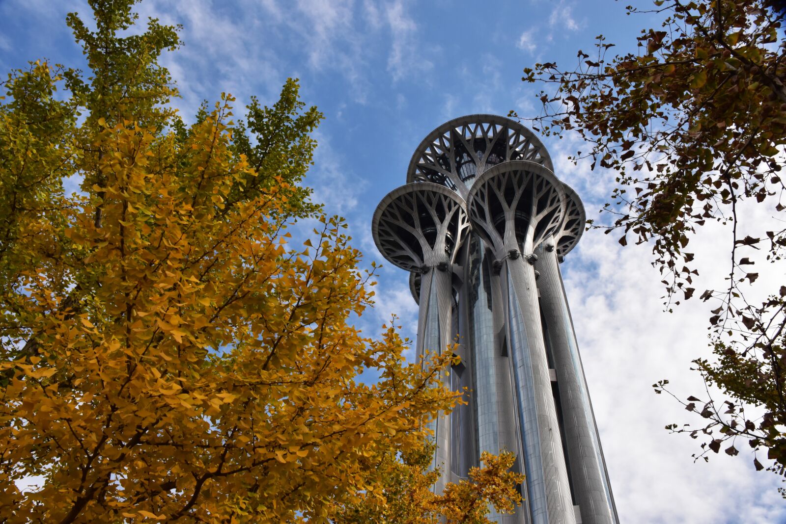 Nikon D810 sample photo. Beijing, the olympic games photography