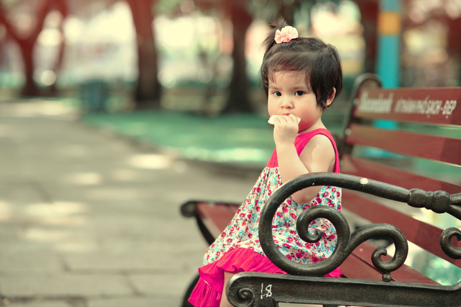 Nikon D700 sample photo. Toddler, little girl, child photography