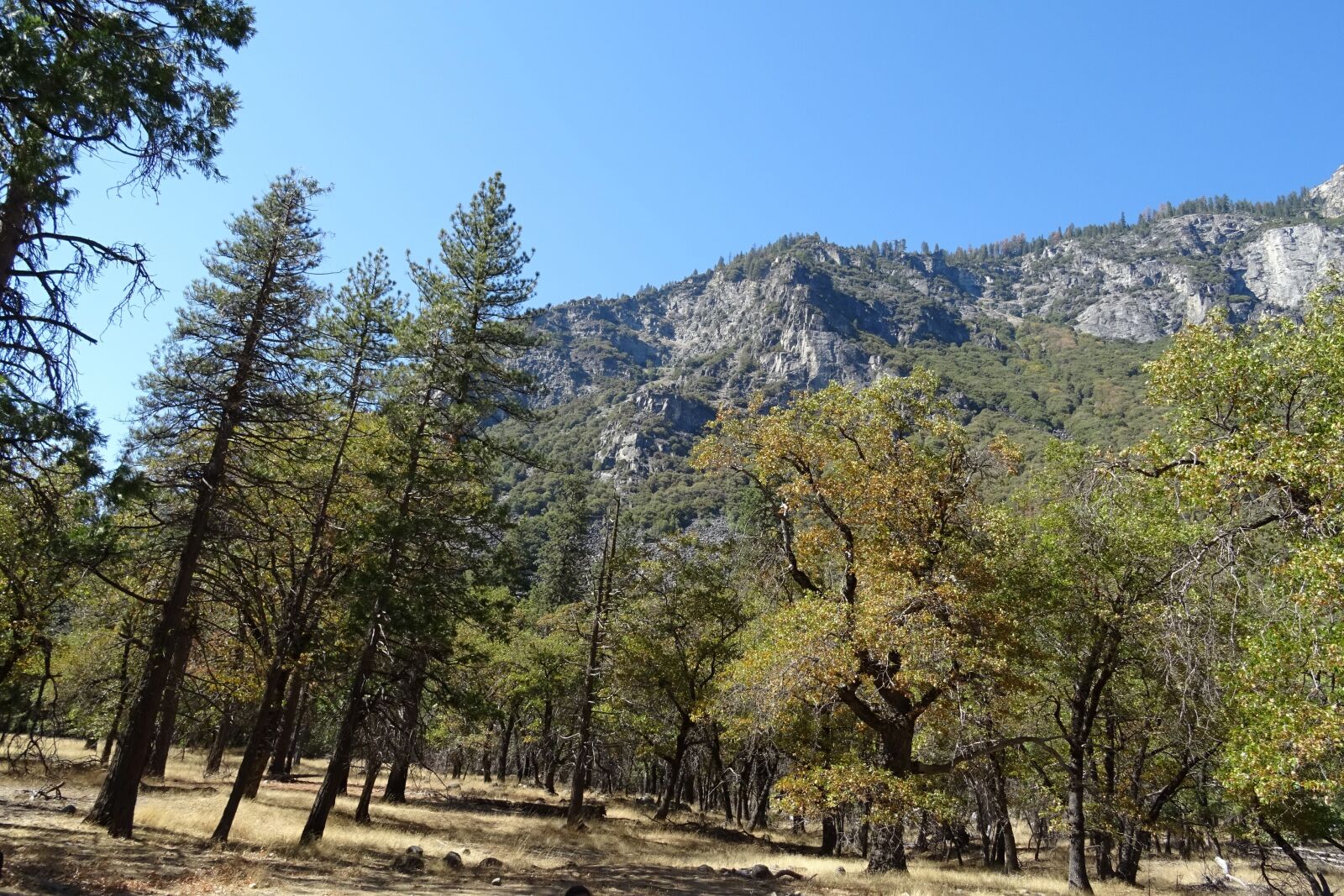 Sony DSC-HX60V sample photo. Yosemite, national park, rock photography