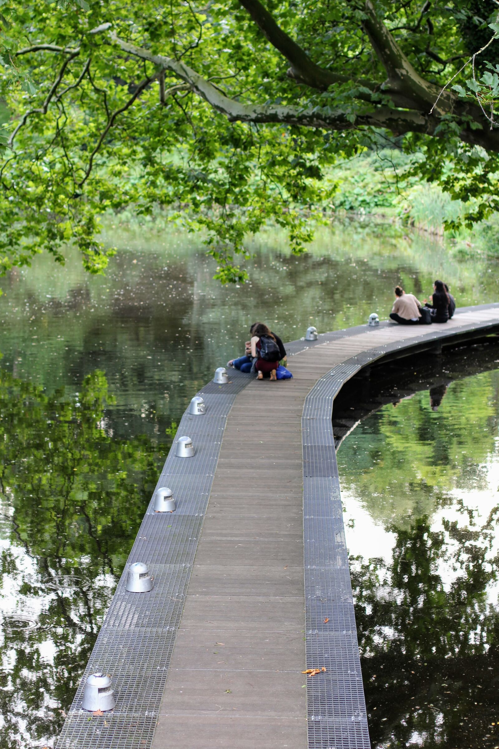 Canon EOS 60D + Canon EF 50mm F1.4 USM sample photo. Green, green area, recovery photography