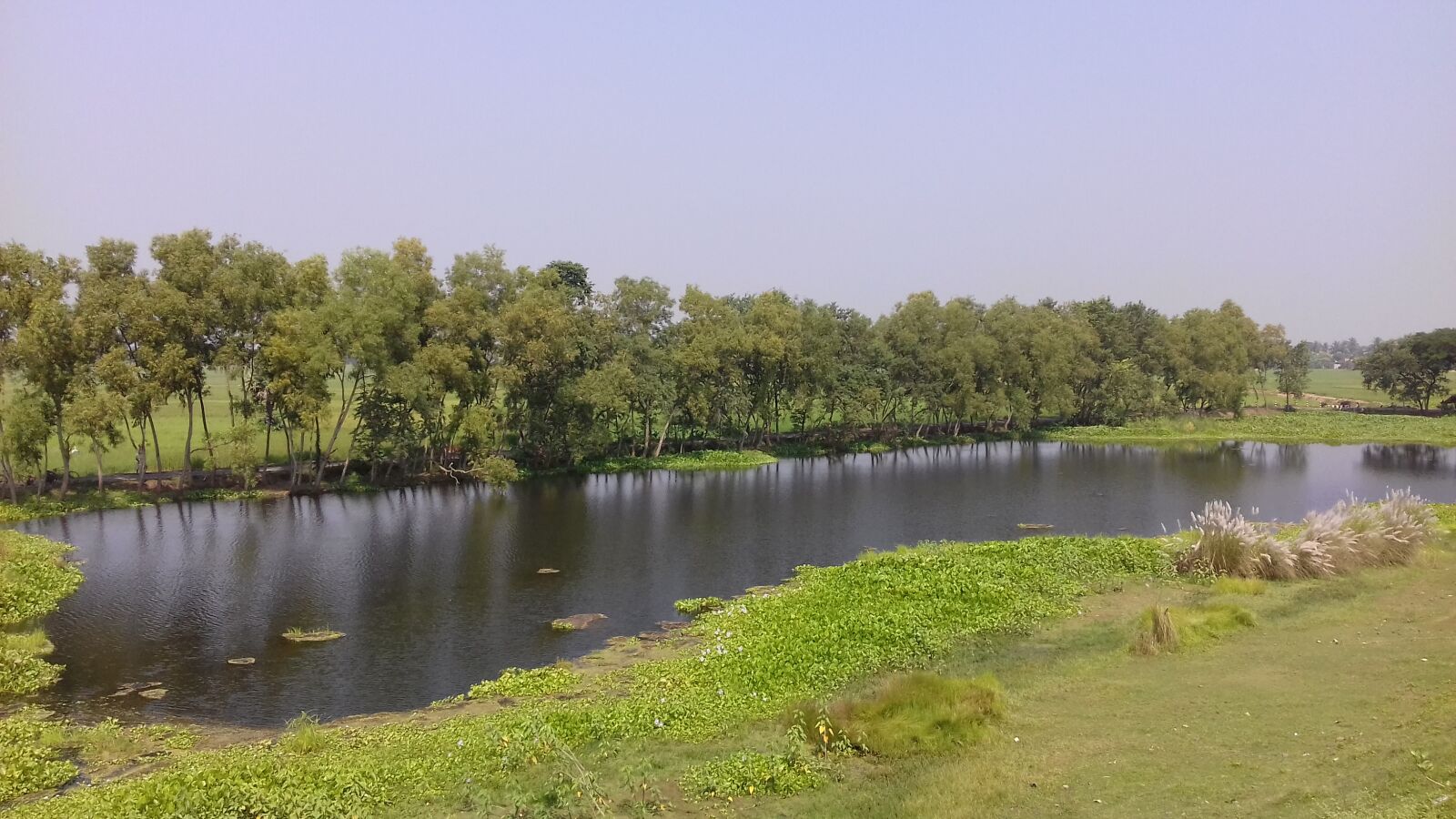 Samsung Galaxy J3(2016) sample photo. Beautiful, nature, photography photography