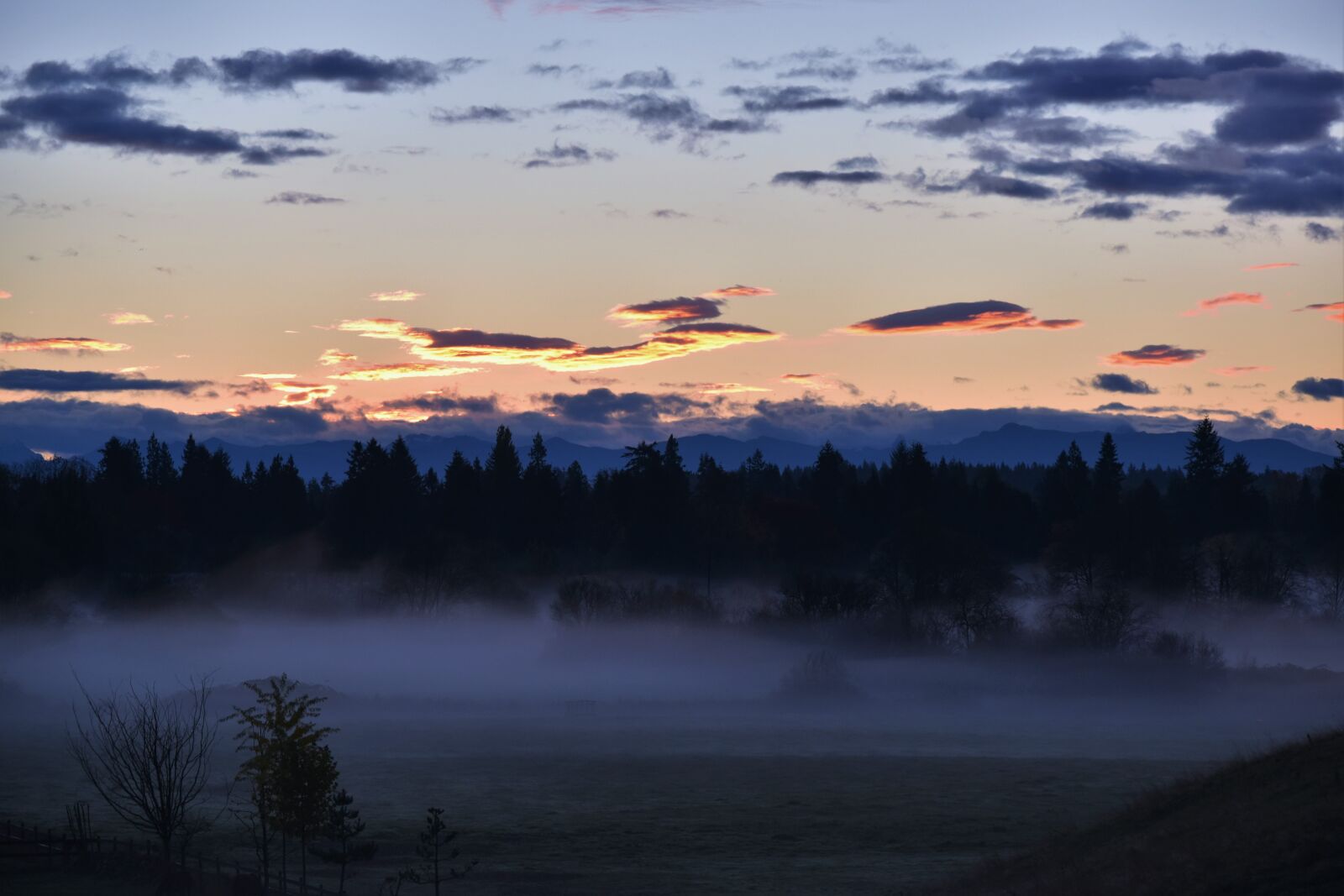 Nikon D5500 sample photo. Sunrise, fog, morning photography