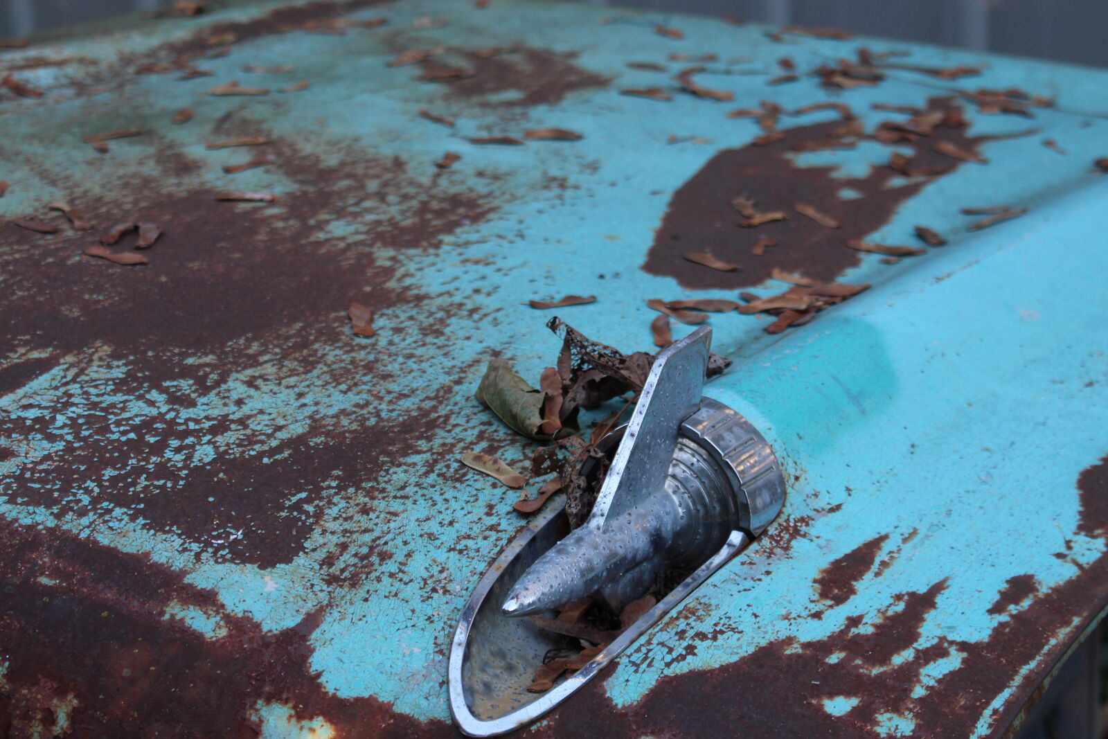 Canon EOS 700D (EOS Rebel T5i / EOS Kiss X7i) sample photo. Car, hood, old, rust photography