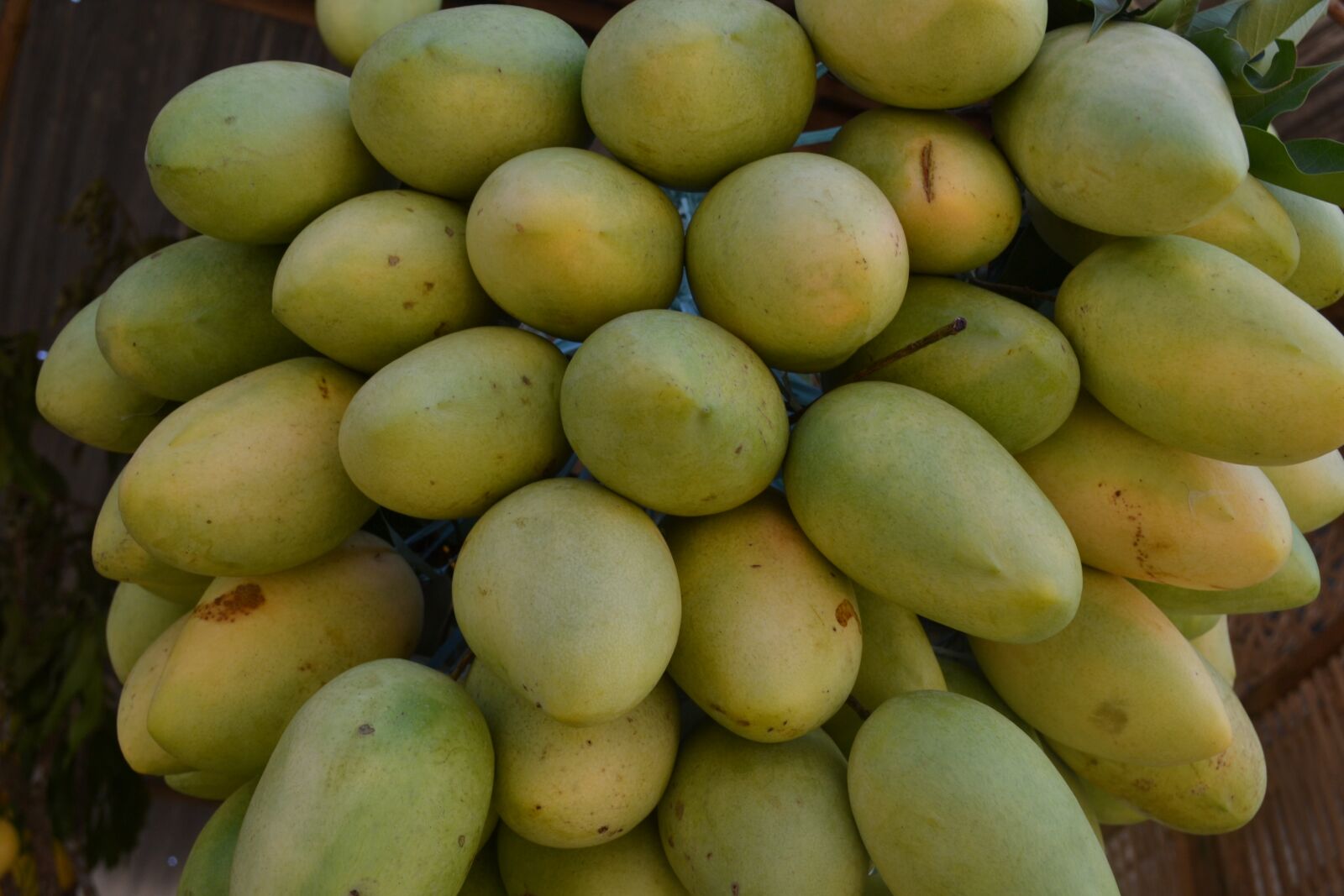 Nikon D3100 sample photo. Mango, fruit, tropical photography