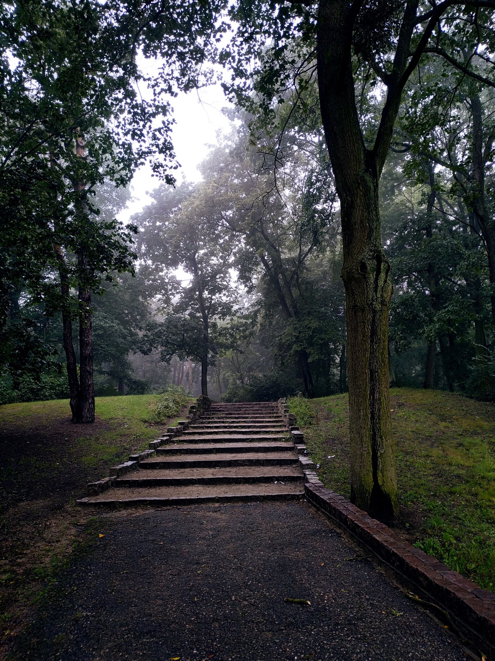 Xiaomi Redmi Note 6 Pro sample photo. Park, stairs, trees photography