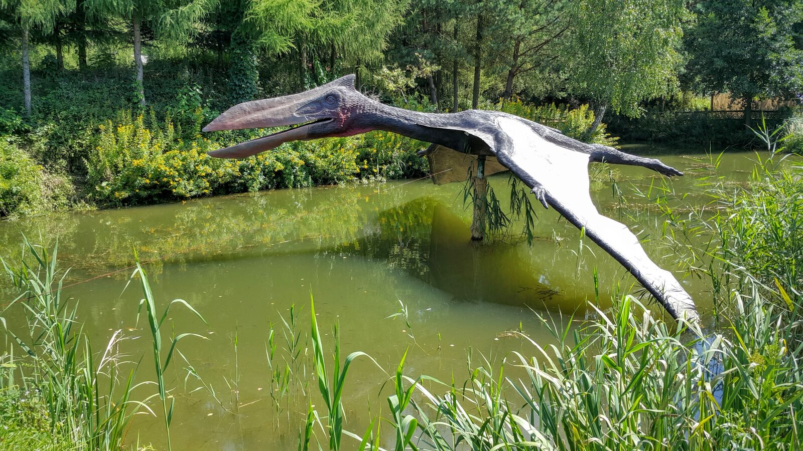 Samsung Galaxy Note4 sample photo. Balts, jurassic park, pterosaur photography