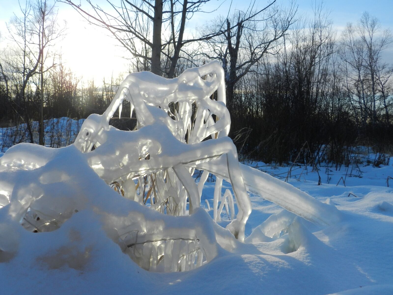 Nikon Coolpix P500 sample photo. Winter, snow, frost photography