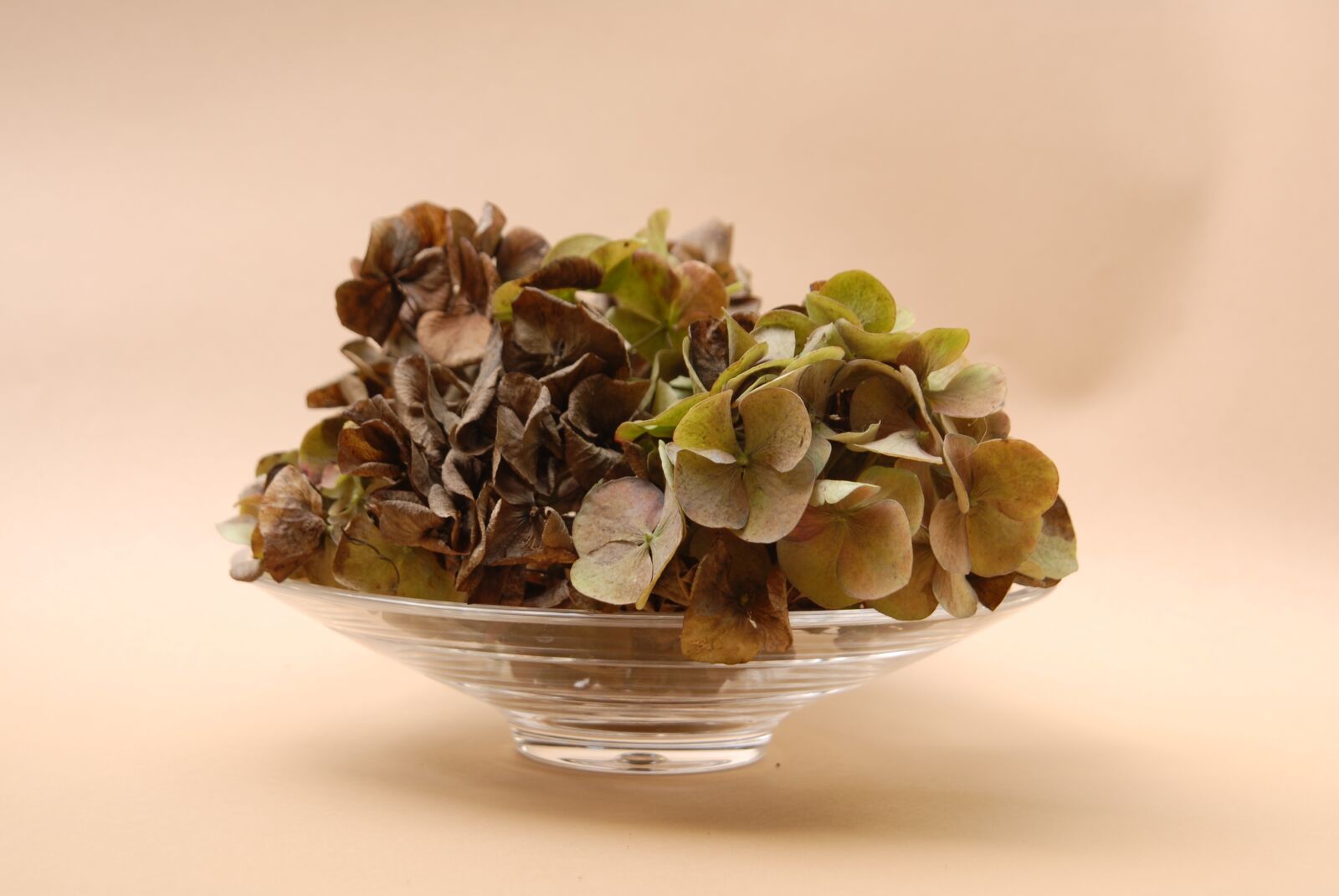 Nikon D200 sample photo. Hortencias, flowers, vase photography