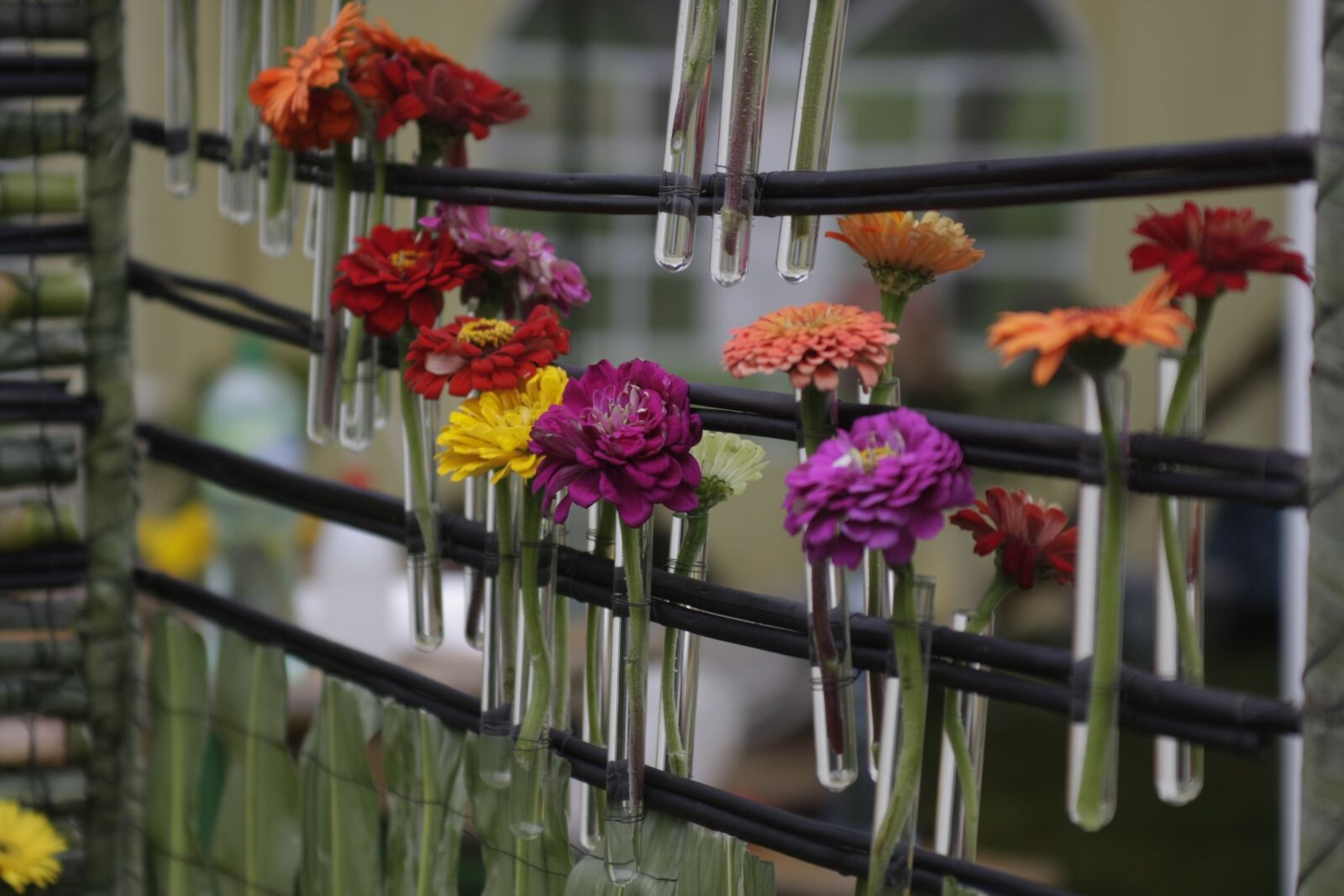 Canon EOS 40D sample photo. Flowers, composition, bouquet photography