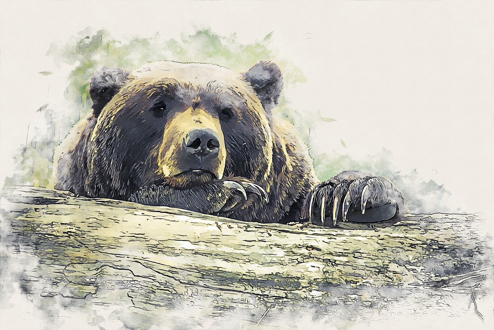 Nikon D5200 sample photo. Bear, animal, mammal photography