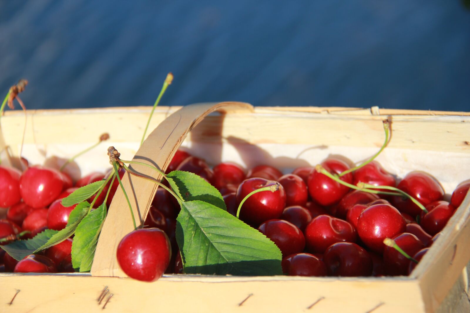 Canon EF-S 18-200mm F3.5-5.6 IS sample photo. Cherries, cherry basket, fruit photography