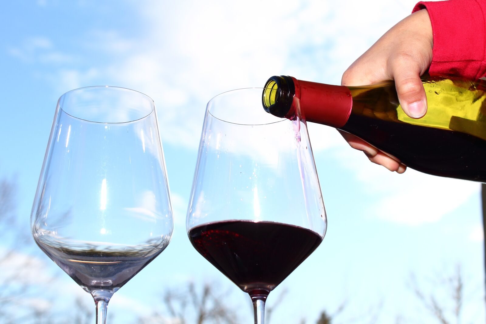 Canon EOS 1300D (EOS Rebel T6 / EOS Kiss X80) sample photo. Wine, drink, alcoholic beverage photography