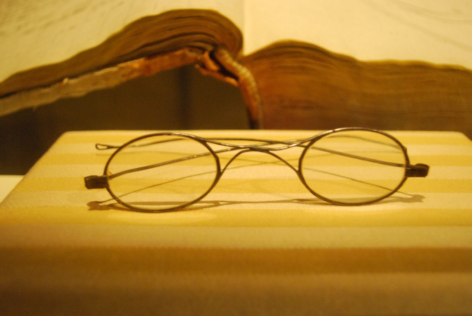 Nikon D60 sample photo. Sunglasses, shubert, music photography